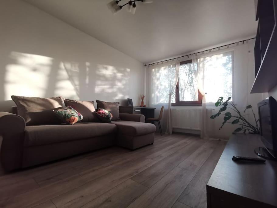 Apartament Gulliver In Centrul Vechi 雅西 外观 照片